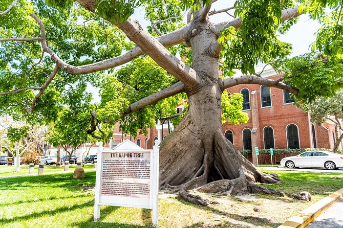Highlights and Stories of Key West - Small Group Walking Tour - The Sum Up