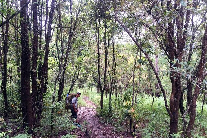Hike and Kayak With Exploring Tuyen Lam Lake in Da Lat - Additional Information