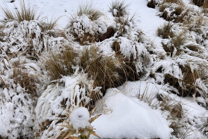 Hike Snowy Mountain Nevado Toluca (Private Tour From Mexico City) - The Sum Up