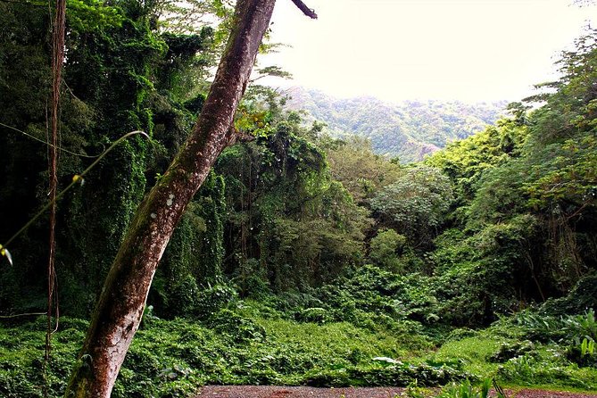 Hike Trail to Waterfall & Nature Walk - Common Questions