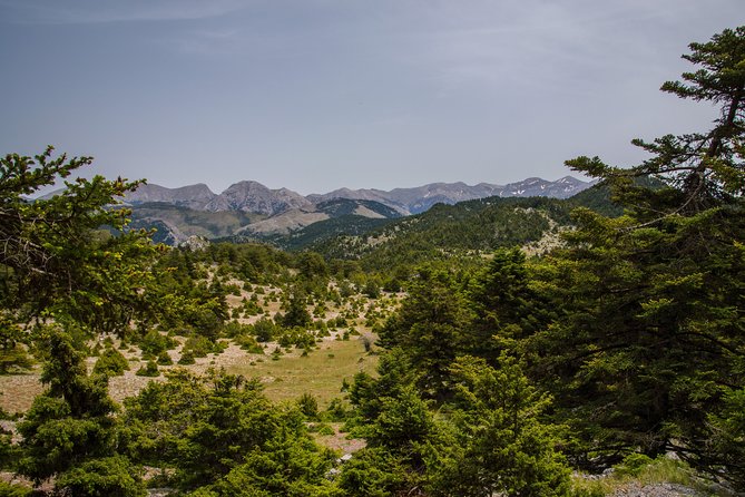 Hiking Above Kalamata - The Sum Up