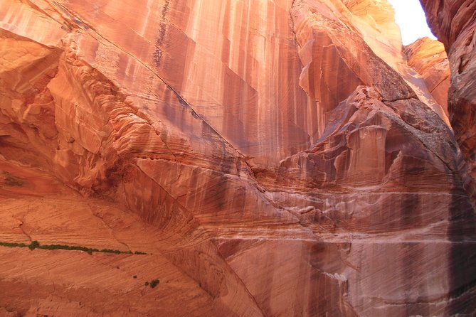 Hiking in Kanab: Walk and Photograph the Incredible Wire Pass Slot Canyon! - Common Questions