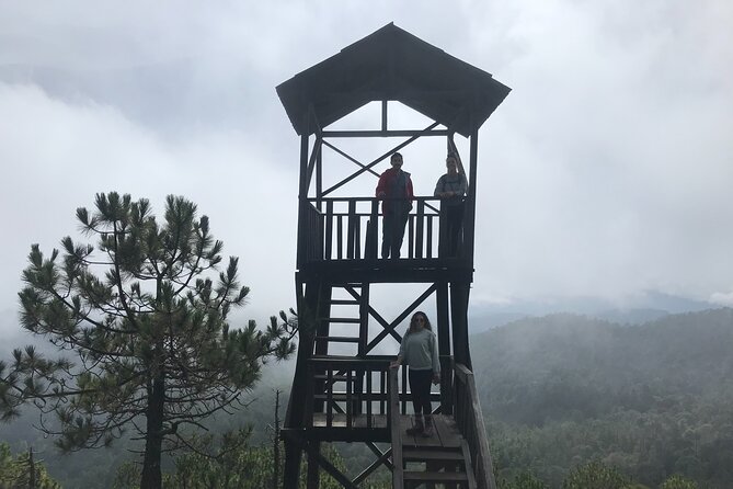 Hiking in the Enchanted Forest of Ixtepeji With Rescue Dogs - Common Questions