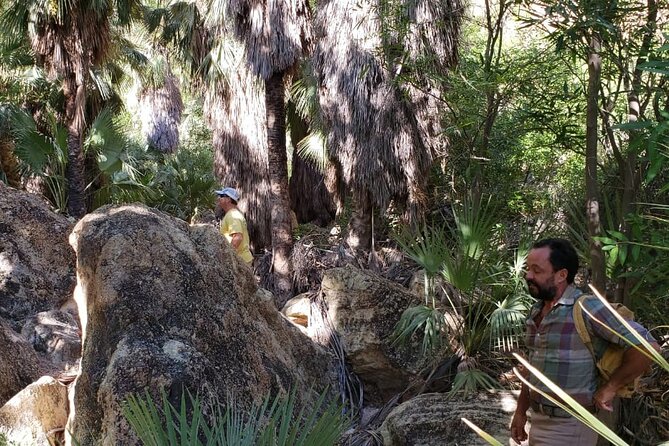 Hiking to Desert Palm Oases of San Carlos With a Biologist - Additional Information