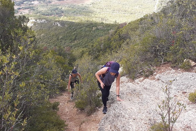 Hiking Tour to the Highest Point of Arrábida Mountain - The Sum Up