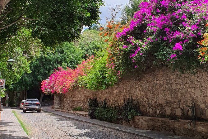 Historical Walking Tour, Discover and Explore San Miguel - Reviews of the Historical Walking Tour