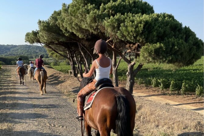 Horse Riding in the Vineyards of Ramatuelle Wine Tasting - Short Horseback Excursion in Ramatuelle