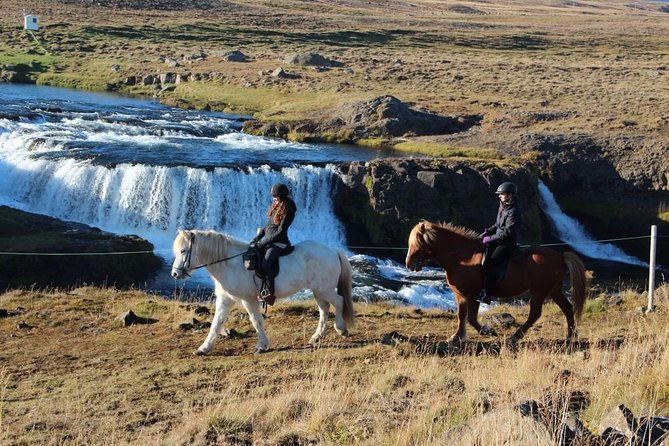 Horse Riding Tour to the Glacier River Delta With Waterfall - Cancellation Policy and Directions