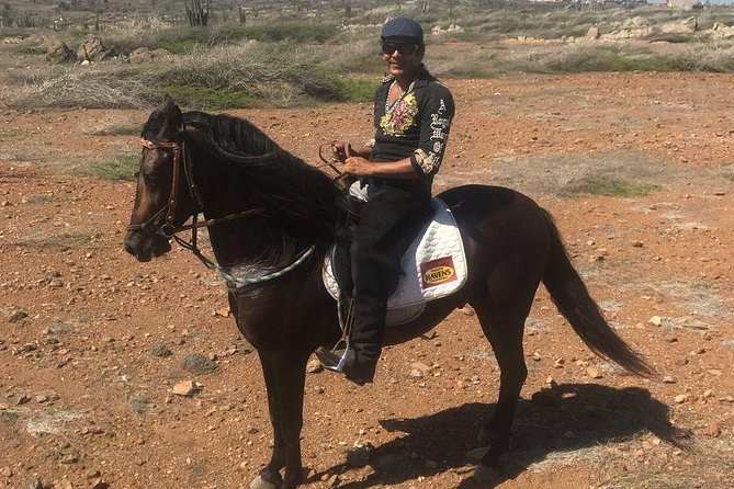 Horseback Riding 2 Hour SUNSET , Rock Formation / Countryside and Beach Ride - Lowest Price Guarantee