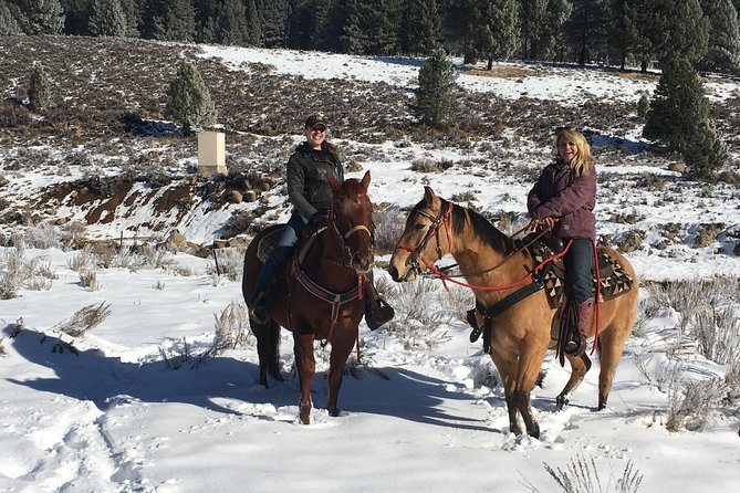 Horseback Riding Adventure From Reno - Common Questions
