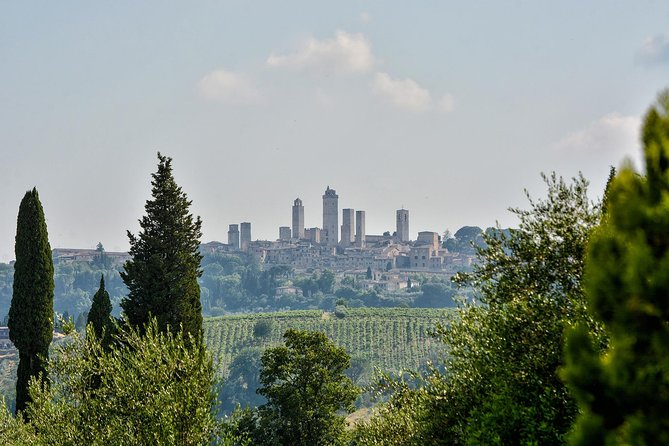 Horseback Riding and Wine Tasting in Tuscany - The Sum Up