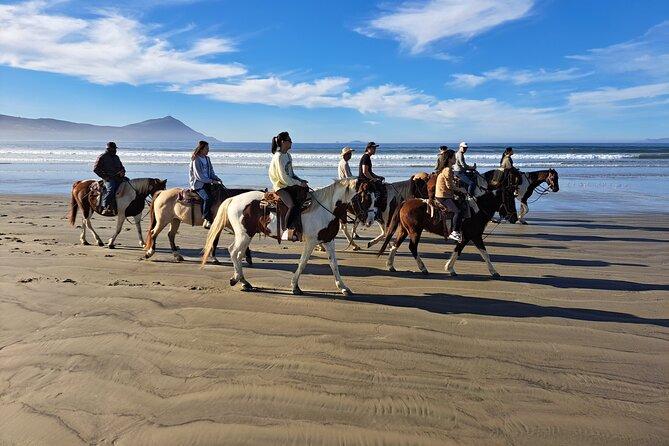Horseback Riding on the Beach From Ensenada - Common Questions