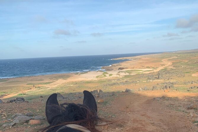 Horseback Riding Wariruri Beach Tour in Aruba - Common Questions