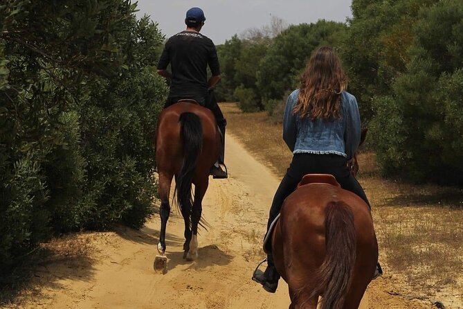 Horseback Riding With Private Transfer - Common Questions