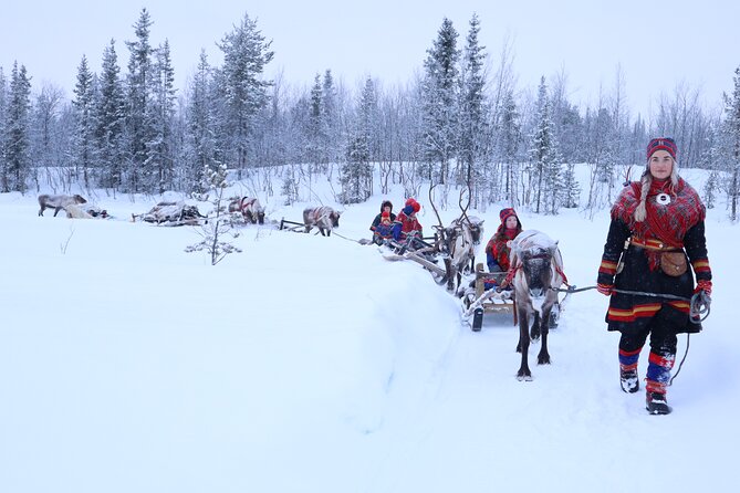 Hunt for Auroras by Reindeer Sled in Kiruna - Inclusions: Dinner, Transfers, and Winter Gear