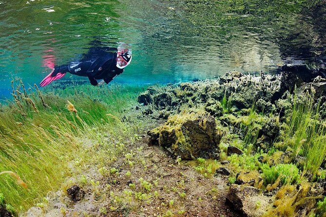 Húsavík: Bubbling Sands Snorkeling Tour - The Sum Up