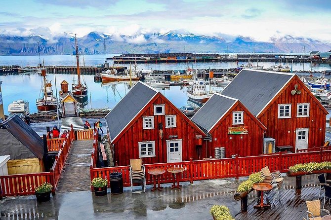 Húsavík Walking Tour - What to Expect
