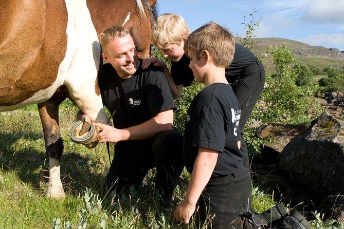 Icelandic Horseback Riding Including Pick up From Reykjavik - Common Questions