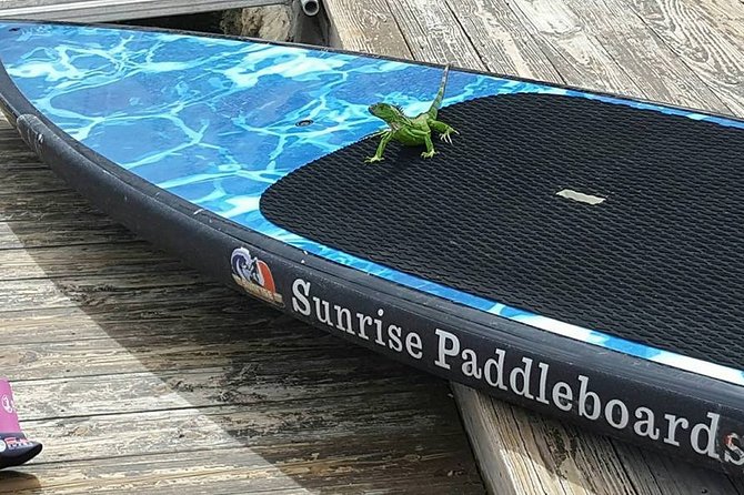 Island City ECO Paddle and Lesson to 9.3 Acre Nature Preserve - Common Questions