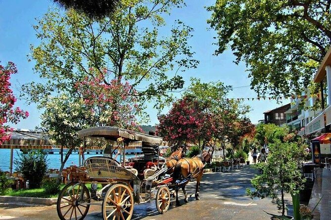 Istanbul Princes Island Tour With Lunch & Hotel Transfer - Good To Know
