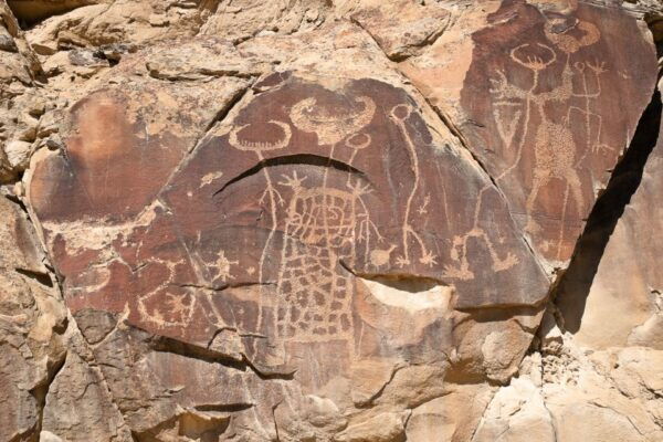 Jackson: Grand Teton, Bighorn Sheep, and Petroglyphs Tour - Duration of the Tour