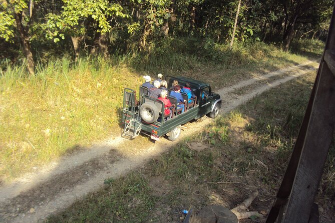 Jeep Safari ( Inside Chitwan National Park, 8-10 Hrs.). - Pricing and Information