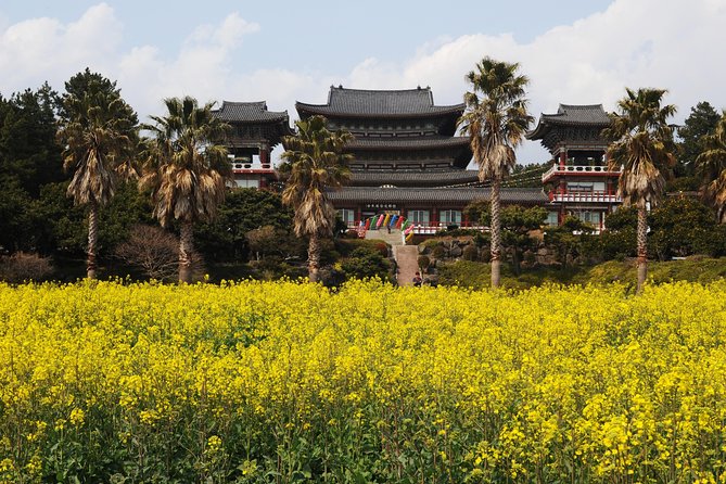[Jeju Island] 2days - BTS Army Tour - Copyright and Legal Information