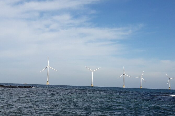 Jeju Private Half-Day Taxi Tour - West of Jeju Island - The Sum Up