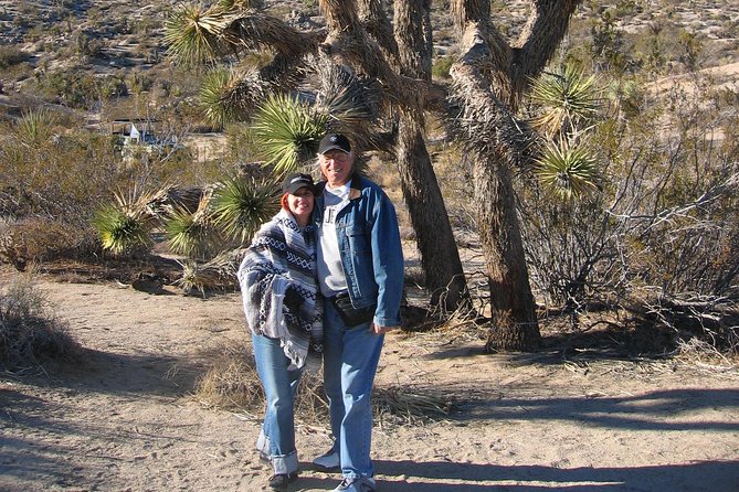 Joshua Tree National Park Scenic Tour - The Sum Up