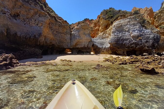 Kayak Adventure Through the Ponta Da Piedade Caves in Lagos - Common Questions