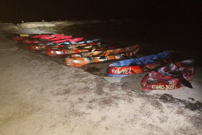 Kayak Experience and Swiming With the Bioluminescence in Holbox - Paddle Under the Stars and Swim With Bioluminescence