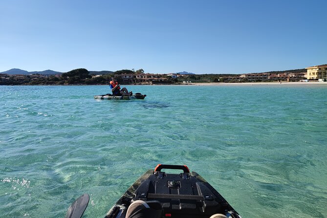 Kayak Tour in Golfo Aranci With Aperitif and Dolphin Watching - Common Questions