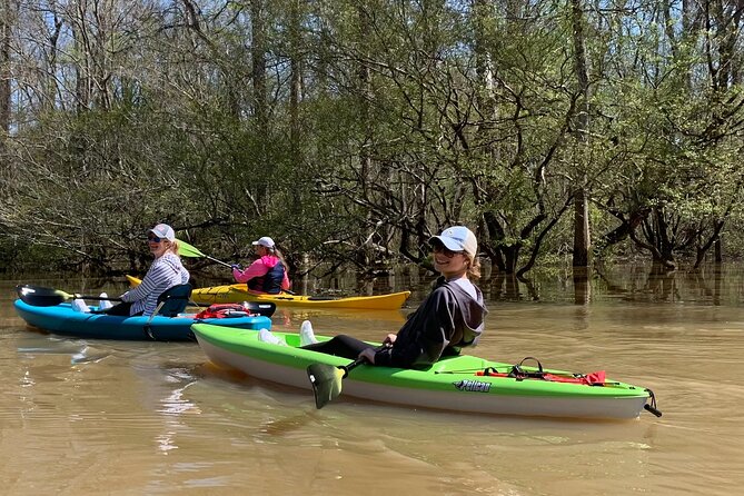 Kayak Tour Of The Honey Island Swamp and Backwaters - Tour Inclusions and Accessibility