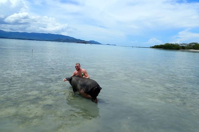 Kayaking and Snorkeling Trip at Koh Tan & Madsum From Koh Samui - Booking and Availability