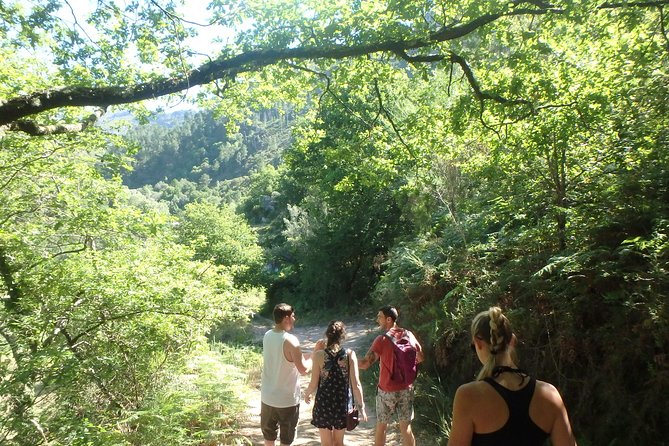 Kayaking & Waterfalls Trek In Gerês National Park With Lunch Included - Positive Reviews From Satisfied Travelers