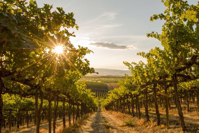 Kelowna Bachelorette Wine Tour Full Day Guided With 5 Wineries - The Sum Up