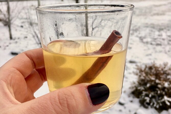 Kelowna Snow E-Biking Adventure With Lunch, Wine Tasting & Smores - The Sum Up