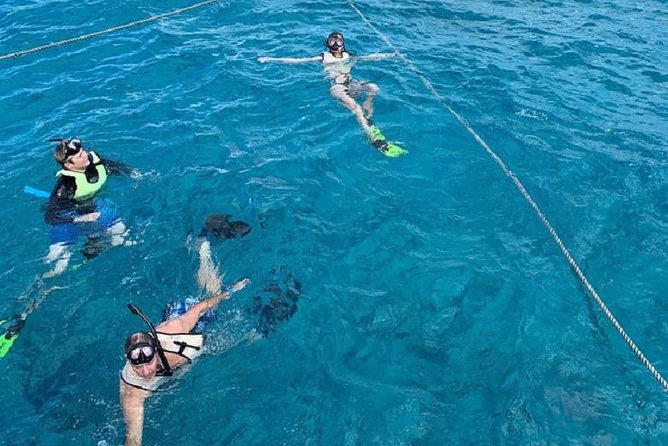 Key West Florida Reef Half-Day Snorkeling Excursion - Common Questions