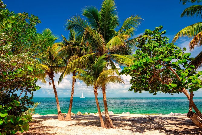 Key West Sail and Snorkeling With Transportation From Miami Included - Recommendations, Tips, and Mixed Experiences