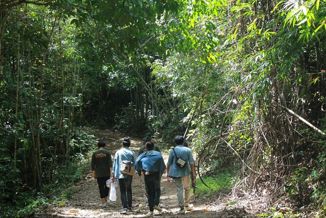 Khao Sok National Park Hiking and Canoeing Day Tour From Khao Lak - Common Questions