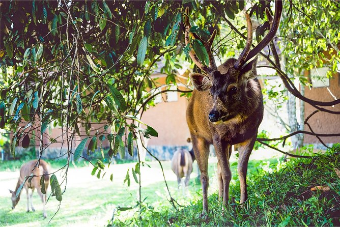 Khao Yai Bat Caves & Night Safari Adventure 3D/2N - Safety Precautions