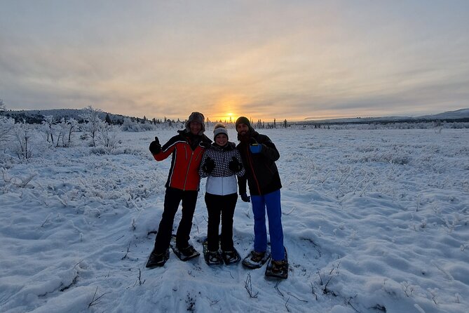 Kiruna Small-Group Snowshoe Activity - Traveler Reviews
