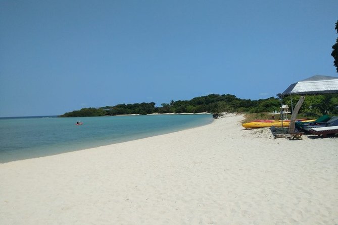 Koh Madsum and Koh Tan Snorkeling Trip By Speedboat From Koh Samui - The Sum Up