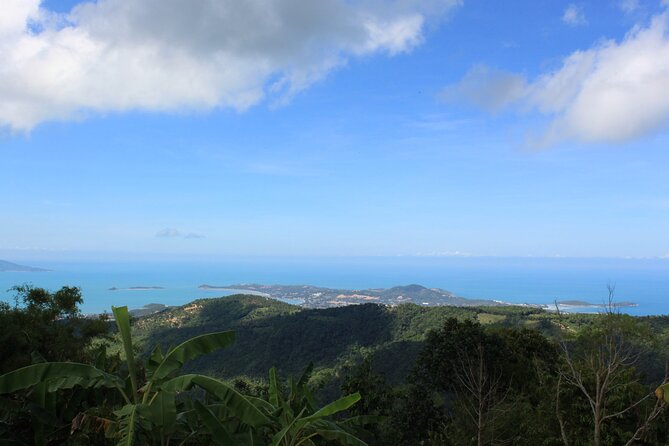 Koh Samui Jungle Safari Eco Tour (Include Lunch) - The Sum Up