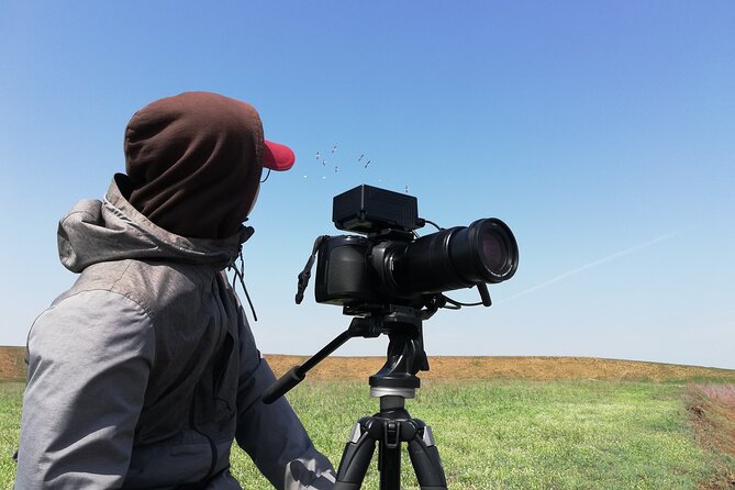 Kos Wildlife Walks: Birdwatching and Animal Photography - The Sum Up