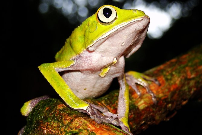 Lago Sandoval, Canopy Tower Full-Day Tour From Madre De Dios  - Puerto Maldonado - Directions