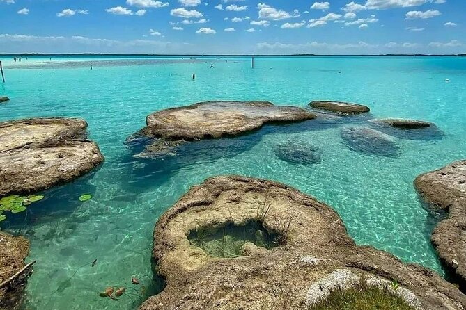 Lagoon of 7 Colors From Costa Maya - Boat Tour and Transportation - Common Questions