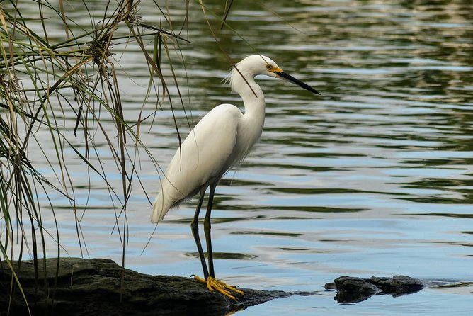 Laguna De Tres Palos Boat Ride and Crocodile Farm Experience  - Acapulco - Common Questions
