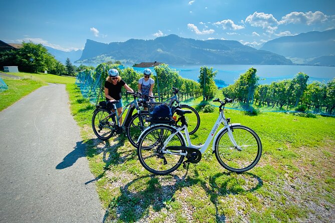 Lake Lucerne Peninsula E-Bike Tour - The Sum Up