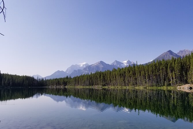 Lake View Full Day Tour-Moraine Lake, Lake Louise, Peyto Lake... - Peyto Lake